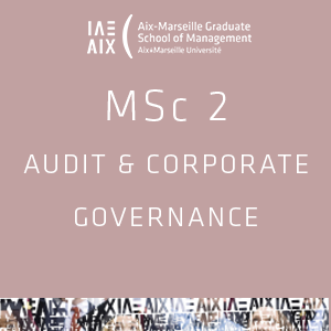 MSc2 Audit & Corporate Governance